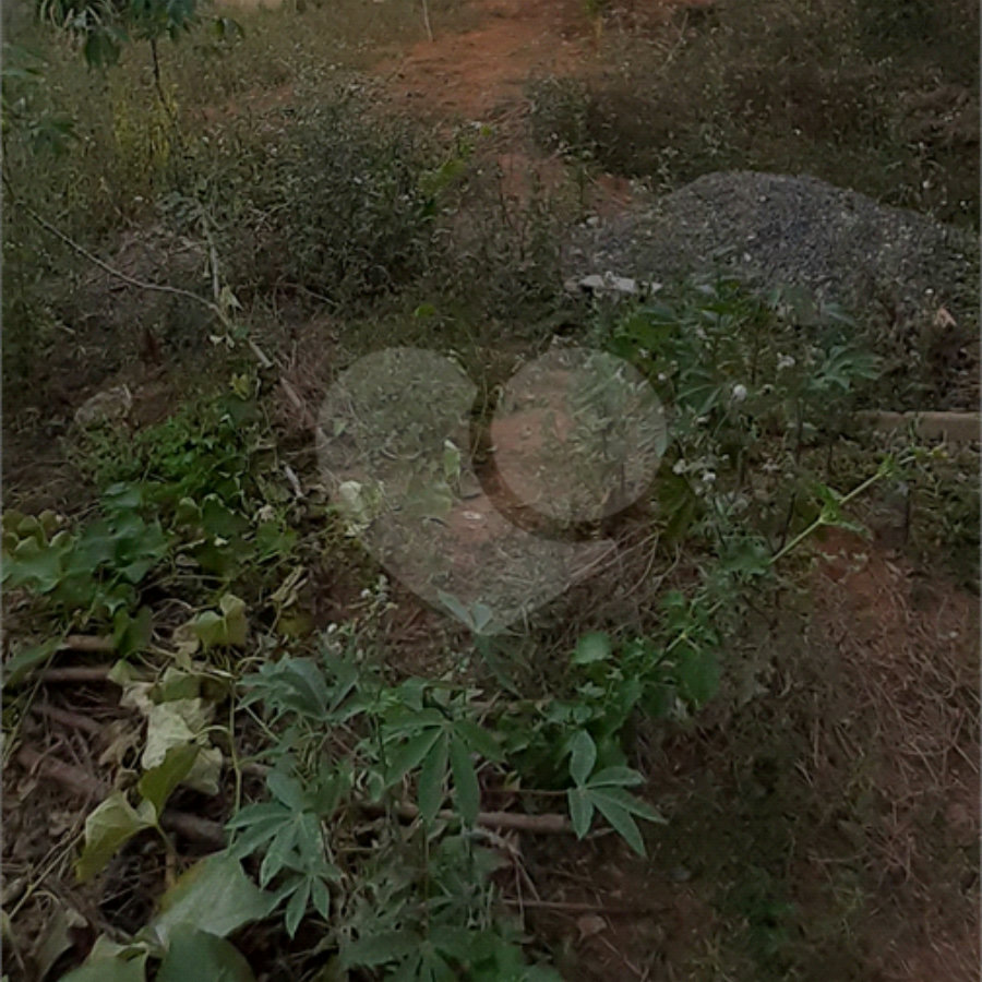 Terreno à venda no Centro, Bom Jesus dos Perdões, SP
