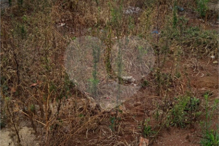 Lote no Jardim do Bosque, aceita financiamento ou aquisição de terreno e construção .