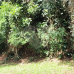 Terreno à venda no condomínio Associação Reserva das Hortênsias, Mairiporã - SP