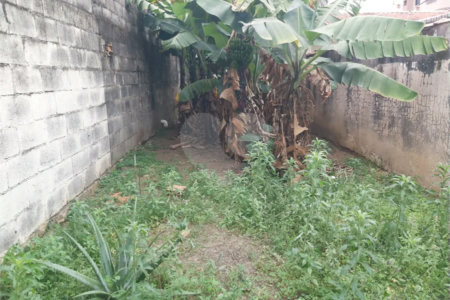 Casa térrea a venda no centro de São Carlos com 3 quartos