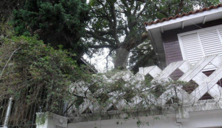 Sobrado à venda com 3 quartos, sendo 1 suíte, em Vila Albertina, São Paulo, SP