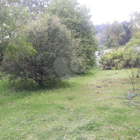 Terreno para alugar em Jardim Rene, São Roque, SP