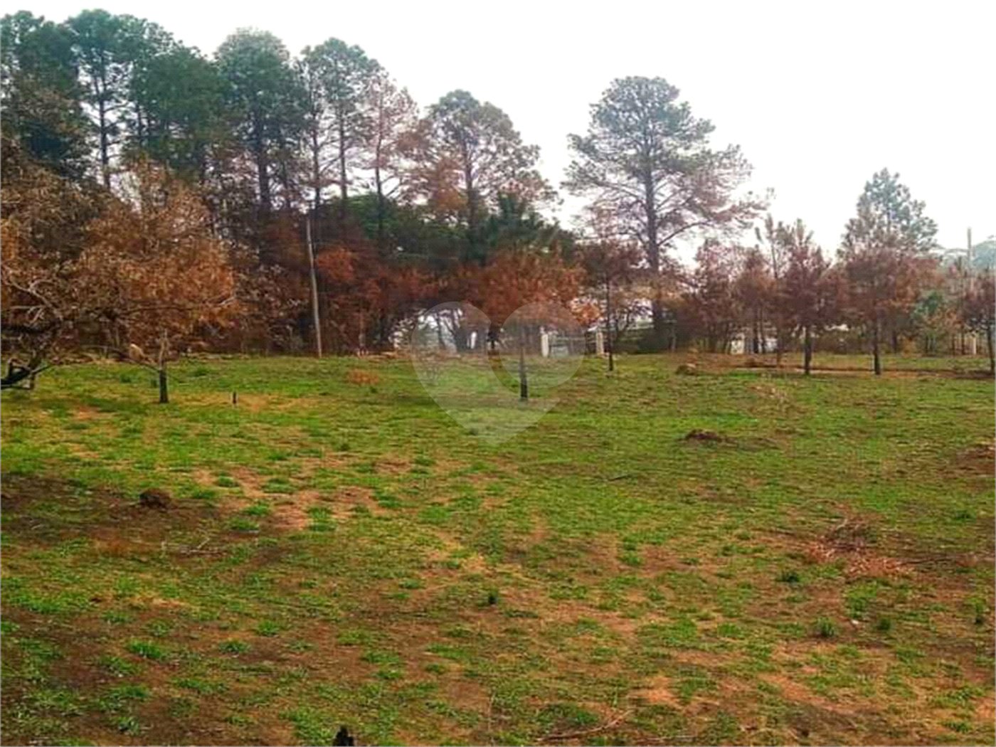 Fazenda à venda com 2 quartos em City Castello, Itu, SP