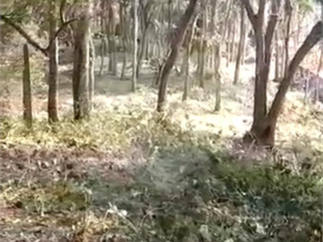 Terreno à venda em Luiz Fagundes, Mairiporã, SP