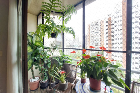 Apartamento à venda com 3 quartos, sendo 1 suíte, em Real Parque, São Paulo, SP