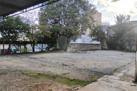 Terreno para alugar em Vila Santa Catarina, São Paulo, SP