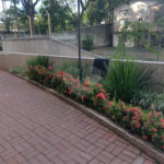 Apartamento à venda com 3 quartos, sendo 1 suíte,  em Imirim, São Paulo, SP