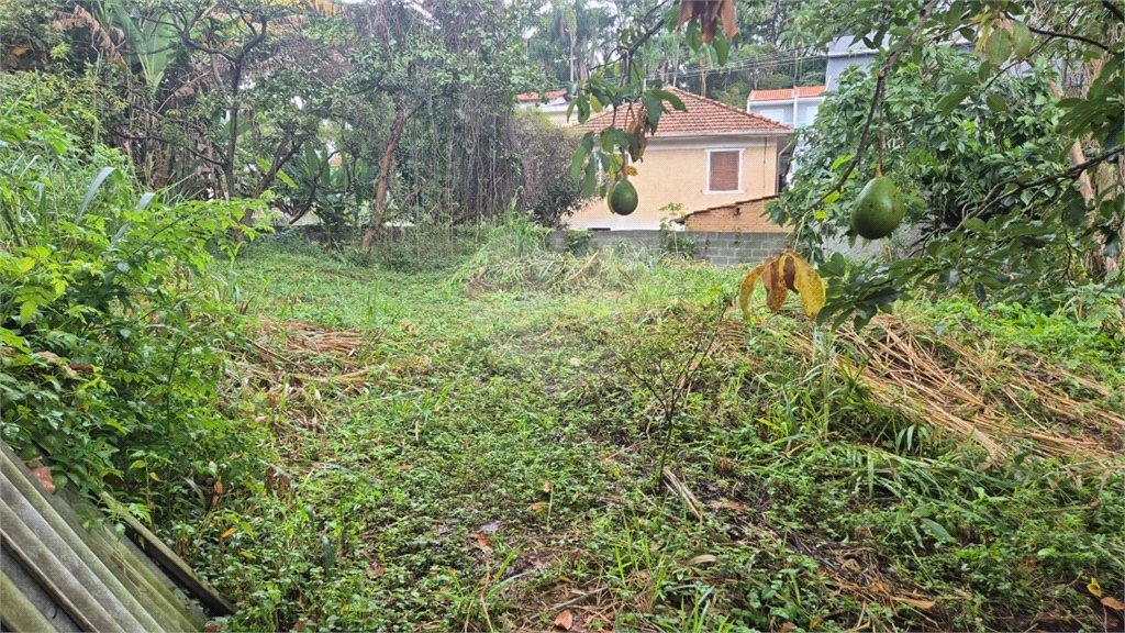 Terreno à venda ou para alugar em Horto, São Paulo, SP