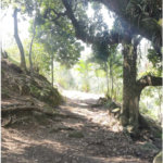 Terreno à venda em Campo Grande, Rio de Janeiro, RJ