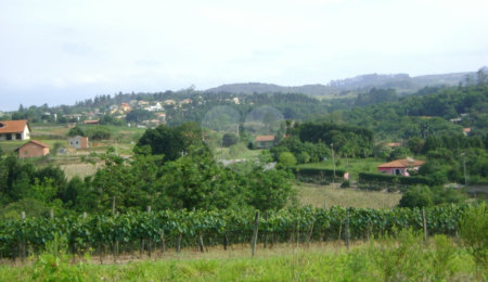 Área de Terra à venda em Colinas do Mosteiro de Itaici, Indaiatuba, SP