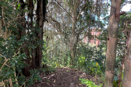Terreno à venda em Paraisópolis, São Paulo, SP