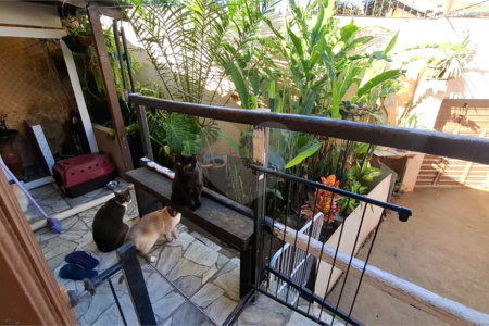 Casa Térrea à venda com 2 quartos em Tucuruvi, São Paulo, SP