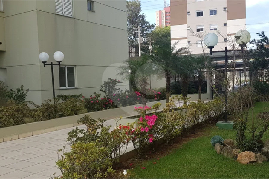 Apartamento à venda com 3 quartos, sendo 1 suíte,  em Pirituba, São Paulo, SP