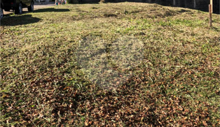 Terreno à venda em Horto, São Paulo, SP
