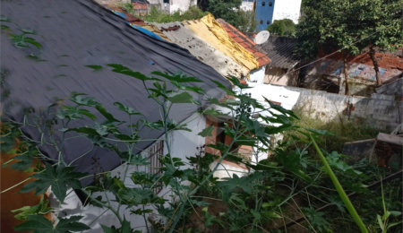 Terreno à venda em Tucuruvi, São Paulo, SP