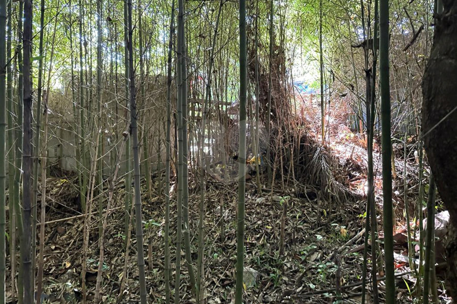 Terreno à venda em Serra da Cantareira, Mairiporã, SP