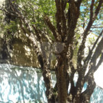 Sobrado à venda com 3 quartos em Jardim São Paulo(zona Norte), São Paulo, SP