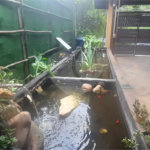 Casa à venda com 3 quartos, sendo 2 suítes, em São Vicente, Mairiporã, SP