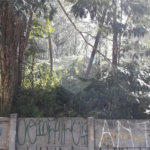 Terreno à venda ou para alugar em Vila Andrade, São Paulo, SP