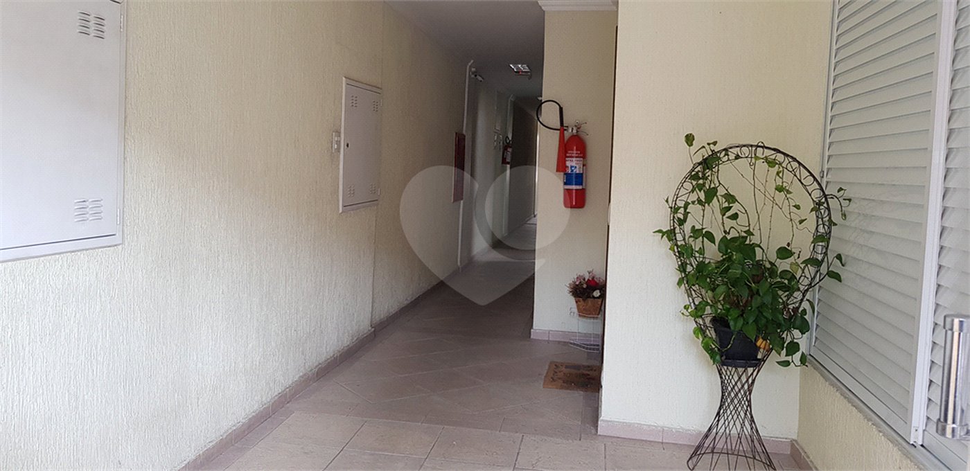 Apartamento à venda com 3 quartos em Cambuci, São Paulo, SP