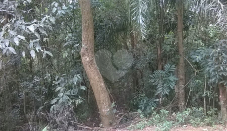Terreno à venda em Serra da Cantareira, Mairiporã, SP