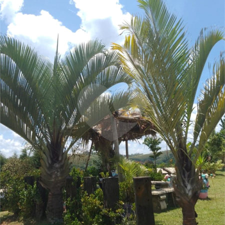 Terreno à venda em Recanto das Acácias, São Roque, SP