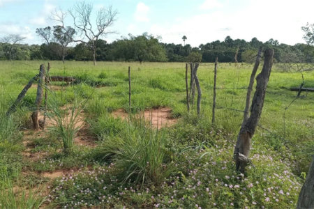 Fazenda à venda com 2 quartos no Centro, Estreito, MA
