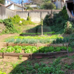 Terreno à venda em Tucuruvi, São Paulo, SP