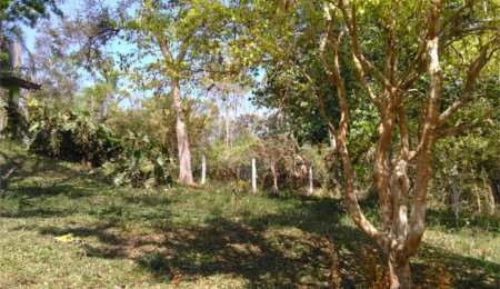 Terreno à venda em Parque Marabá, Guarulhos, SP