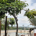 Casa à venda com 5 suítes no condomínio Alphaville Nova Esplanada 1, Votorantim - SP