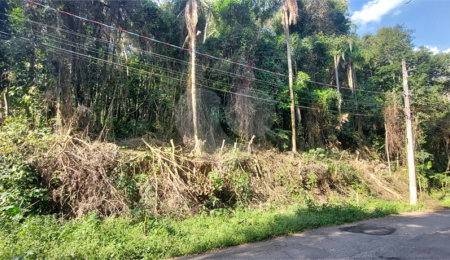 Condomínio à venda em Caraguatá, Mairiporã, SP