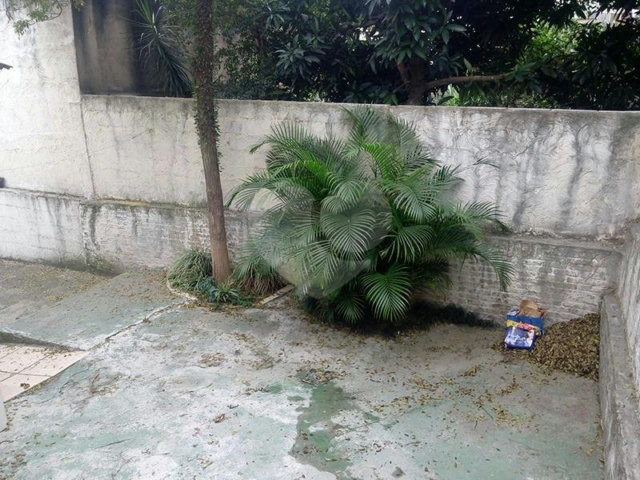 Casa à venda com 2 quartos em Tucuruvi, São Paulo, SP