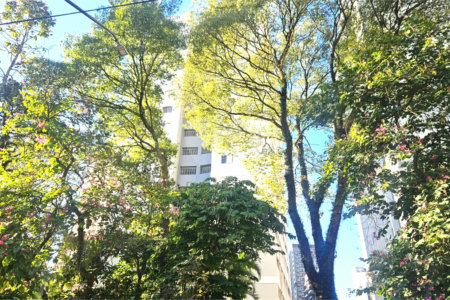 Apartamento à venda com 3 quartos em Chácara Santo Antônio (zona Sul), São Paulo, SP