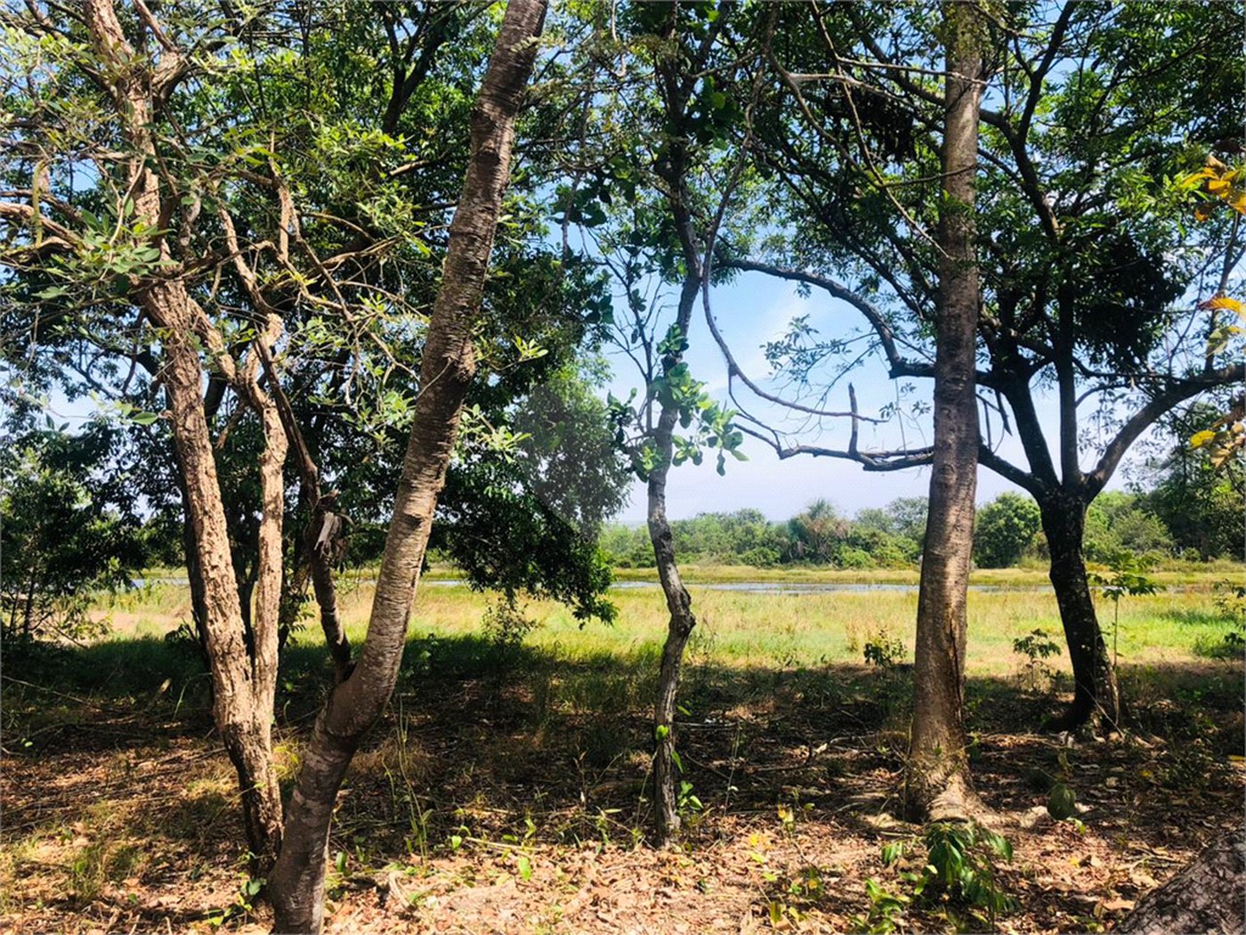Sítio à venda com 3 quartos em Área Rural de Três Lagoas, Três Lagoas, MS