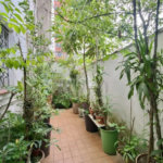 Casa com 3 dormitórios à venda, 144 m² por R$ 1.590.000,00 - Aparecida - Santos/SP