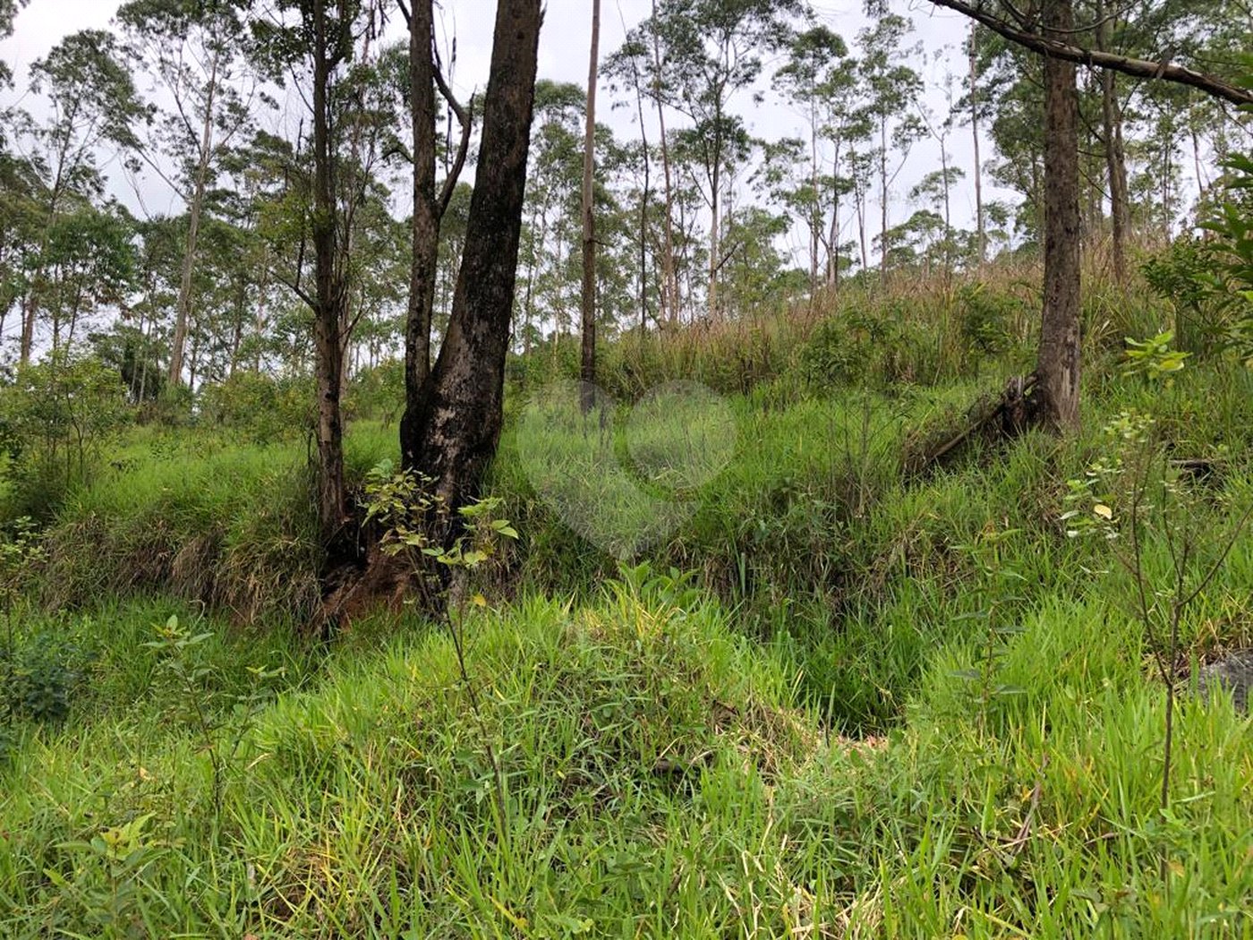 Terreno à venda em Serra da Cantareira, Mairiporã, SP