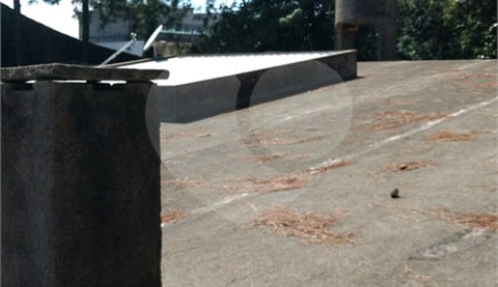 Terreno à venda em Vila Carmosina, São Paulo, SP