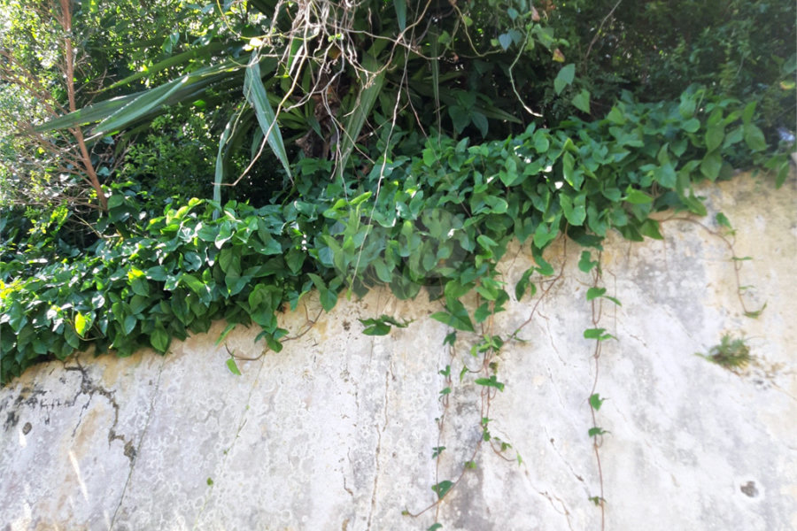 Terreno à venda em Vila Irmãos Arnoni, São Paulo, SP