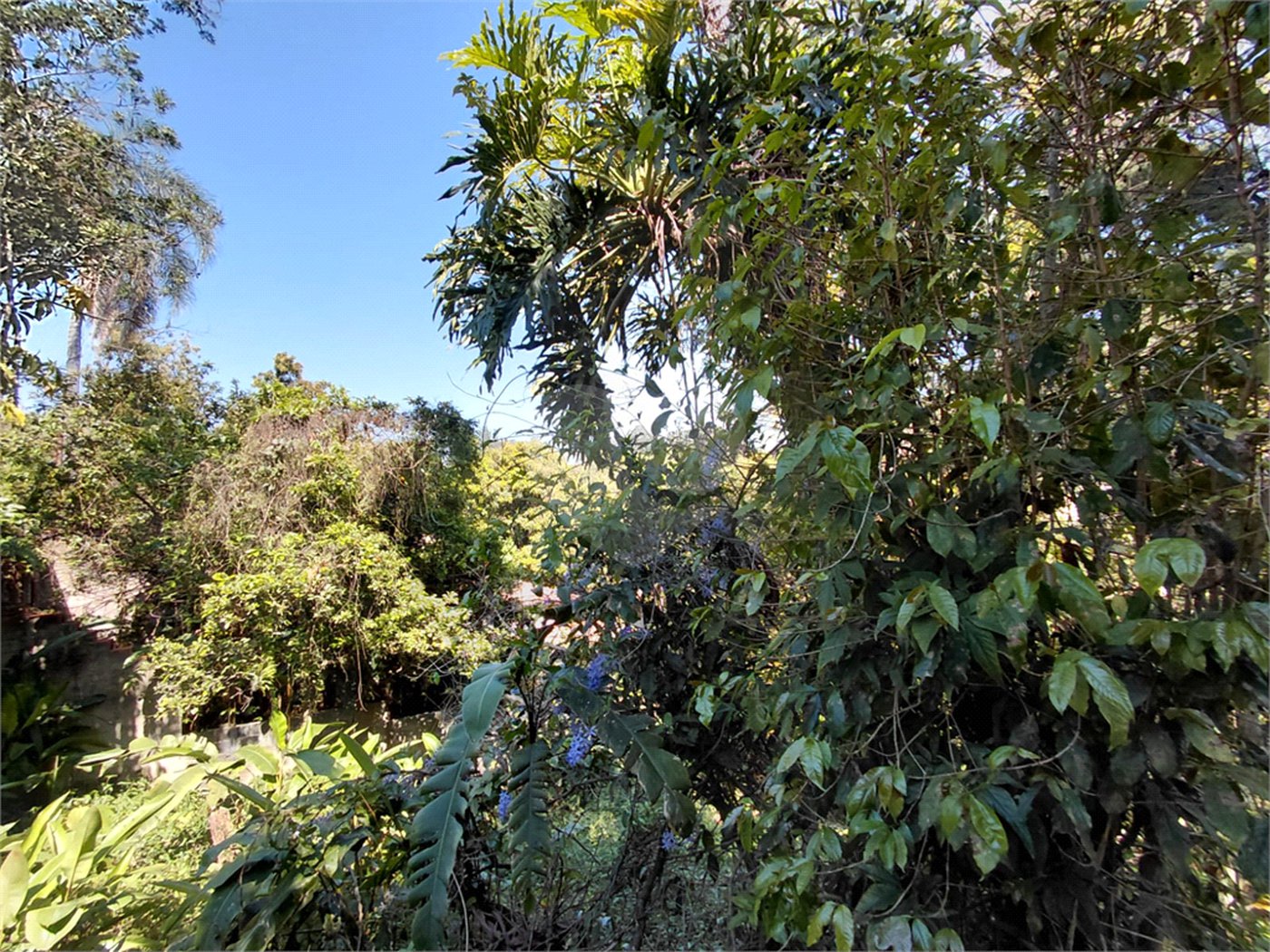 Terreno à venda em Horto Florestal, São Paulo, SP