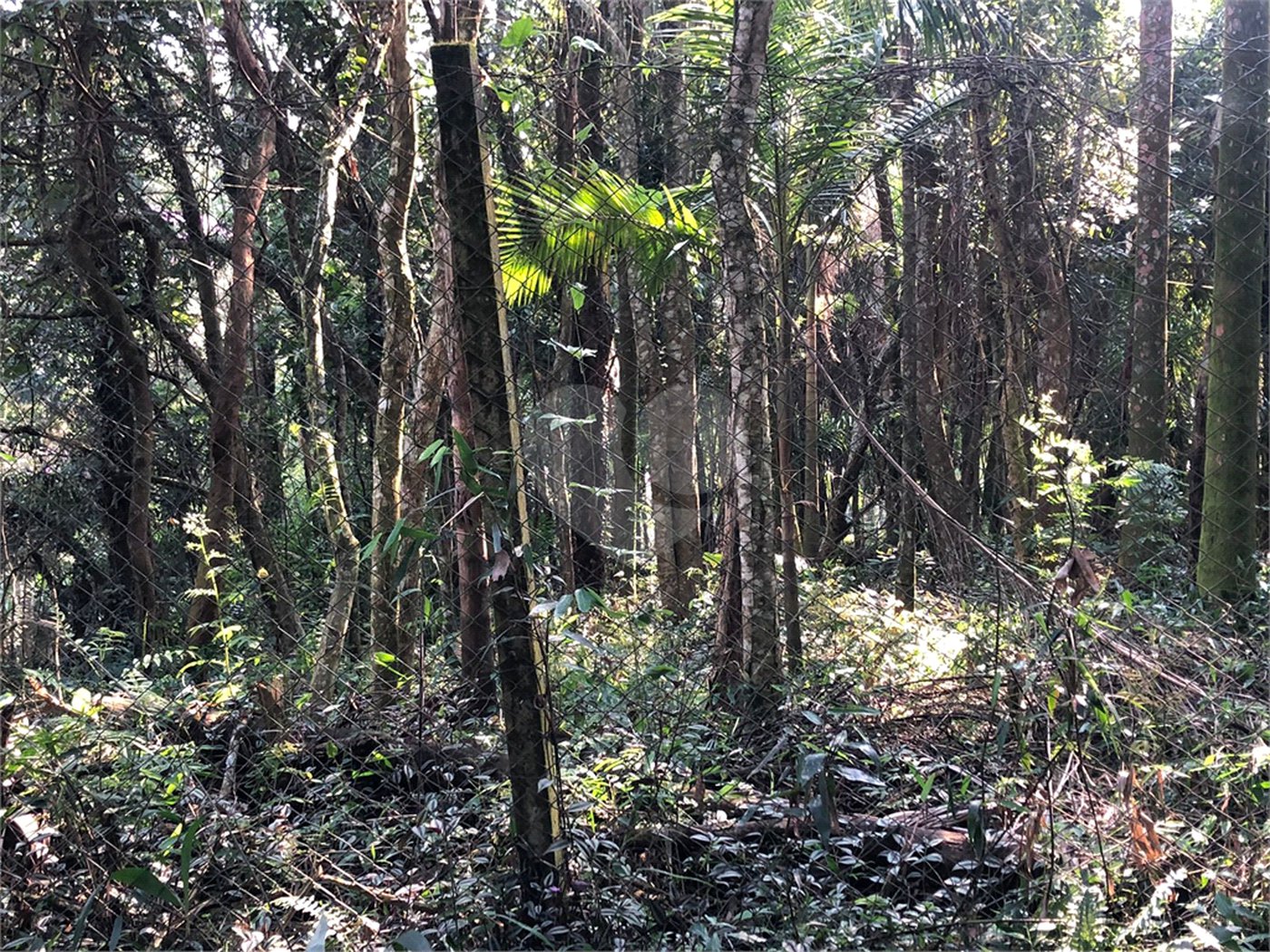 Terreno à venda em Roseira, Mairiporã, SP