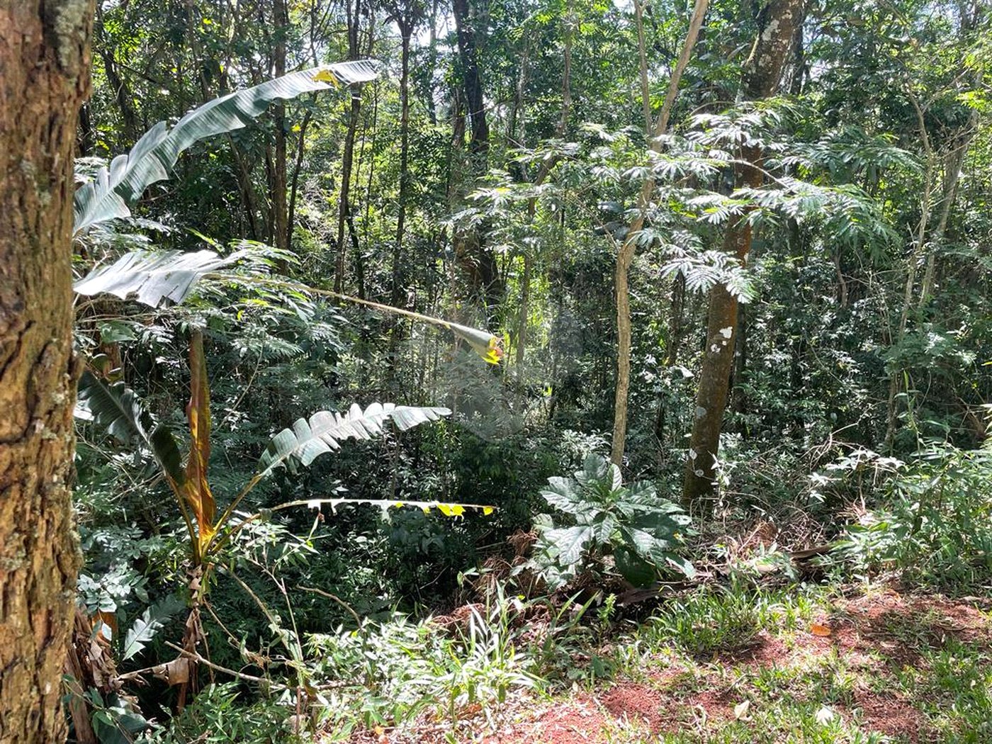 Terreno à venda no condomínio Cantareira, Mairiporã - SP