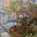 Sobrado à venda com 8 quartos em Vila Guarani, São Paulo, SP
