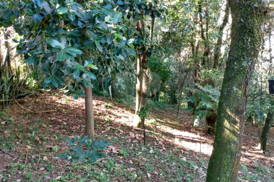 Apartamento à venda com 3 quartos em Casa Verde, São Paulo, SP