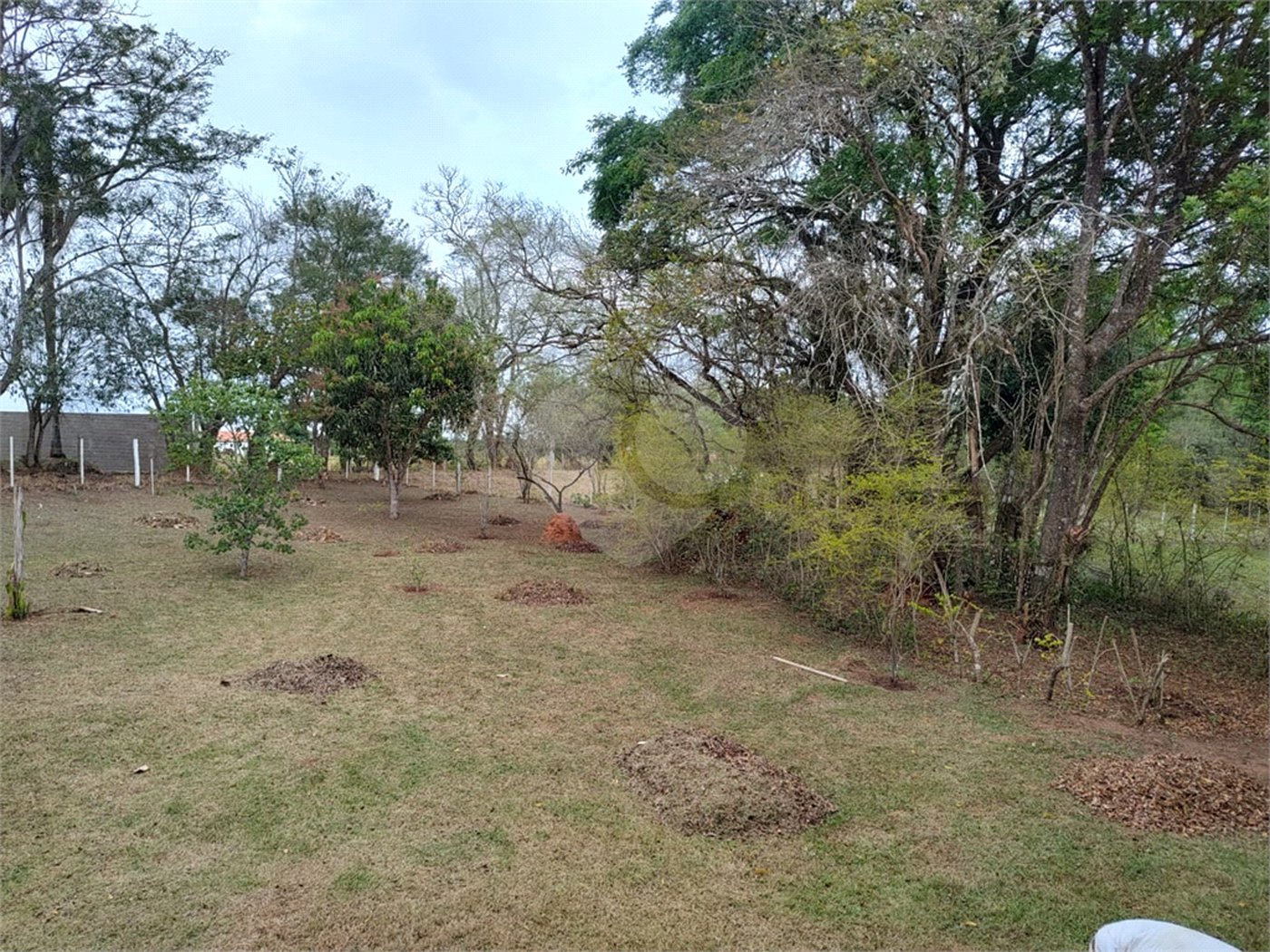 Chácara à venda com 3 quartos, sendo 1 suíte, em Bairro do Machadinho, Angatuba, SP
