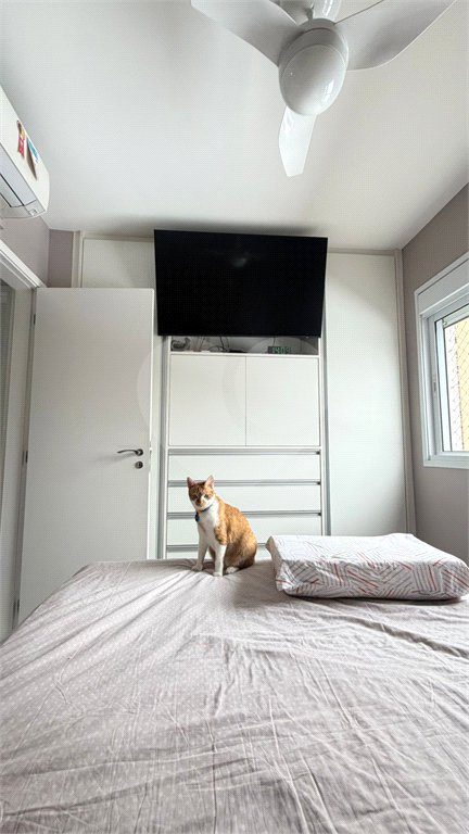 Apartamento à venda com 2 quartos, sendo 1 suíte,  em Brás, São Paulo, SP