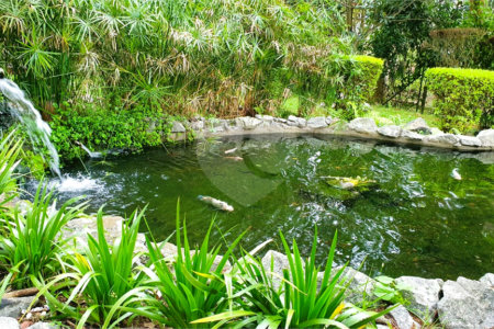 Terreno à venda em Jardim São Vicente, Cotia, SP