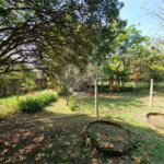 Casa à venda com 4 quartos, sendo 2 suítes, em Bosque, Vinhedo, SP