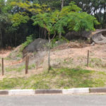 Terreno à venda no condomínio Itaguaçu da Cantareira, São Paulo - SP