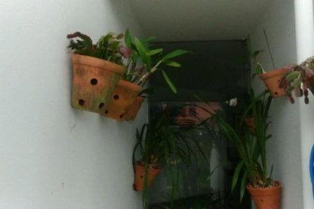 Sobrado à venda com 5 quartos, sendo 2 suítes, em Instituto de Previdência, São Paulo, SP