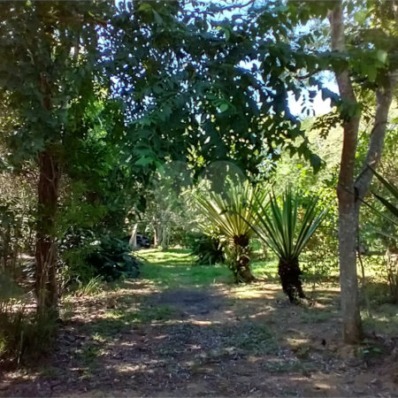 Terreno à venda em Vila Verde, Armação dos Búzios, RJ